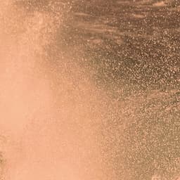 Pre-Sale Black Friday 